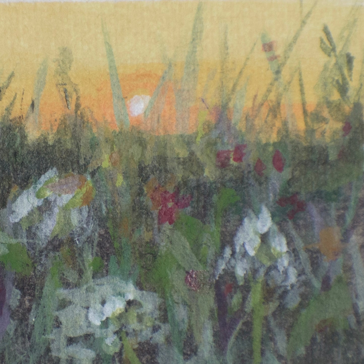 In Bloom iv