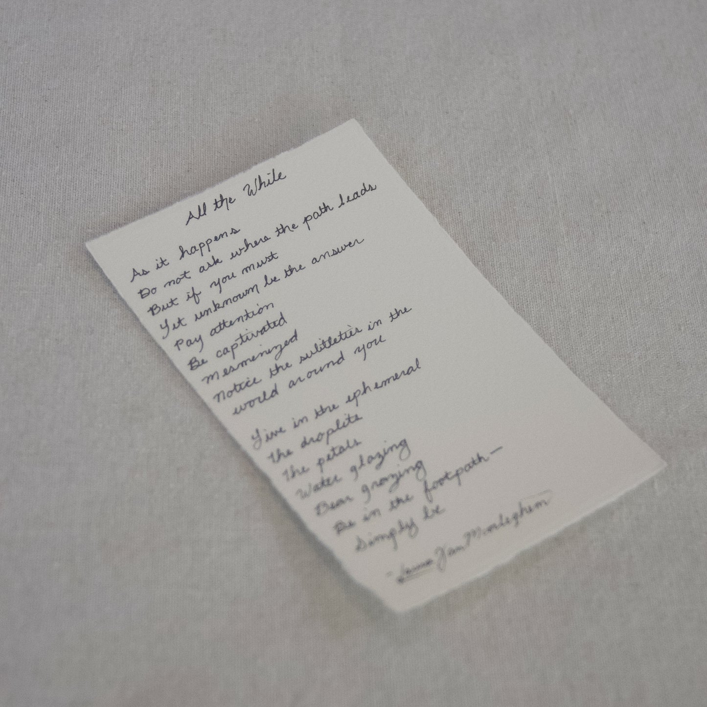 VIII: All the While vi